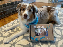 Uh Oh Kits - The Canine Emergency Kit